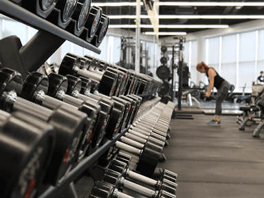 Fitness